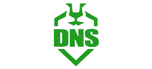 dns