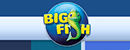大鱼游戏(Big Fish Games) 大鱼游戏(Big Fish Games)