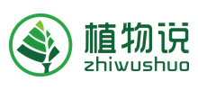 ֲ˵