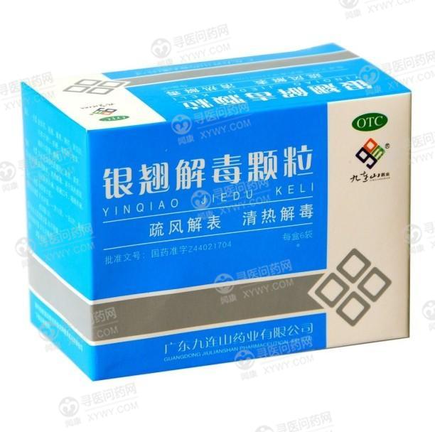 广东九连山银翘解毒颗粒