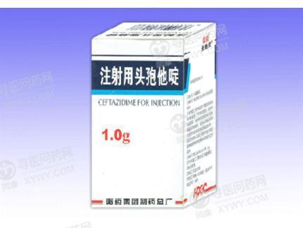 哈药总厂注射用头孢他啶