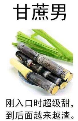 甘蔗男是什么梗,甘蔗男是什么意思