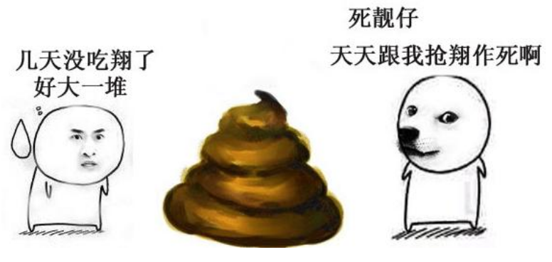 吃翔是什么意思,吃翔的意思