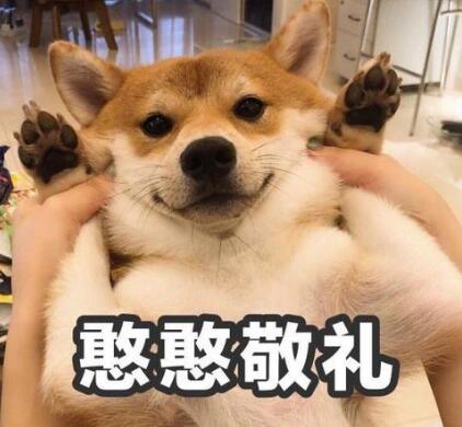 憨憨是什么意思,憨憨的意思,憨憨是什么梗