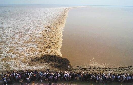 Ǯ���������Ͻ��ܣ��й�Ǯ�����󳱵����ϼ�飩