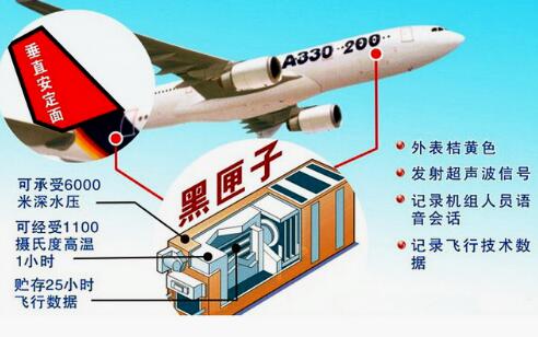 ��ϻ����ʲô��ɫ(��ϻ�ӵ�������ʲô)