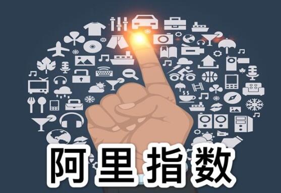 阿里指数是什么意思,阿里指数是什么,什么是阿里指数