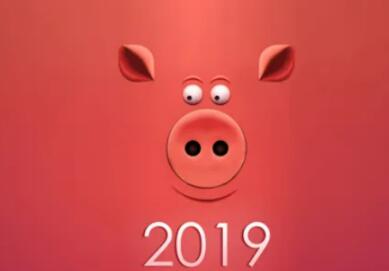 2019��ʲô�꣨2019��ʲô��Ф��