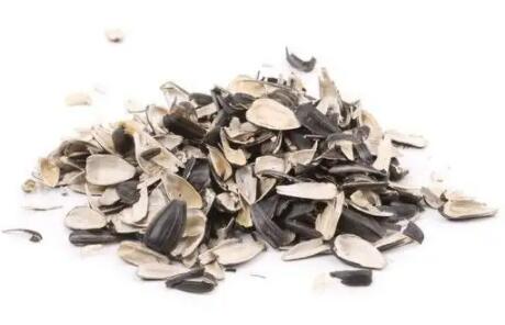 瓜子皮是干垃圾还是湿垃圾