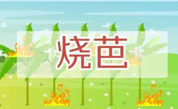 ӡհʲô˼-ӡհŵӰ