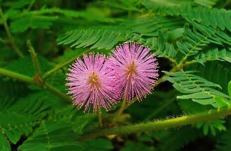 �����ͼƬ,����ݽ���,�����