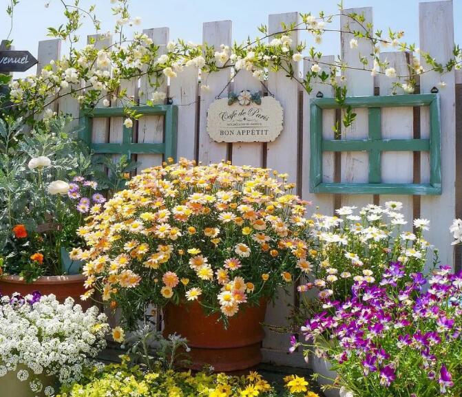 小小花园歌词,小小花园介绍,小小花园