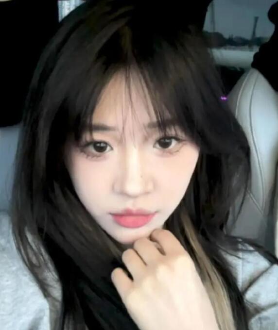 红绿灯的黄个人资料,红绿灯的黄