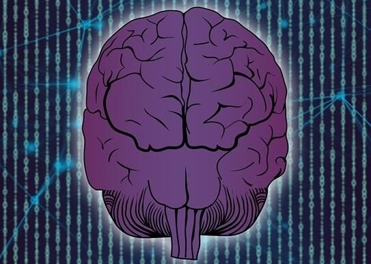 ��˹���Ի��ӿڹ�˾�½�չ���� ä�Ӽ������ں������ϼ�Ч